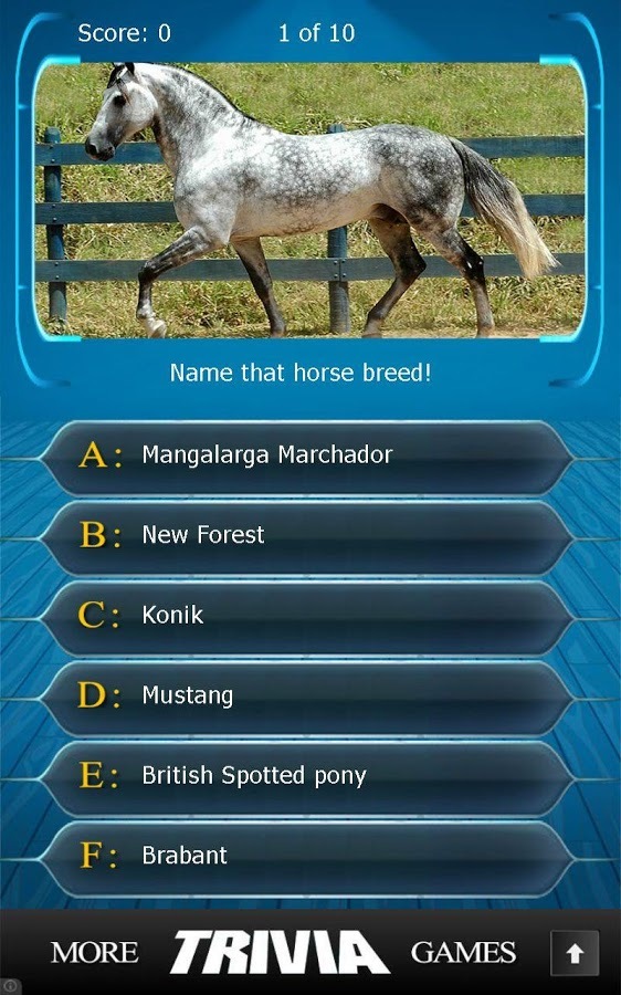 Name that Horse Breed Trivia截图15