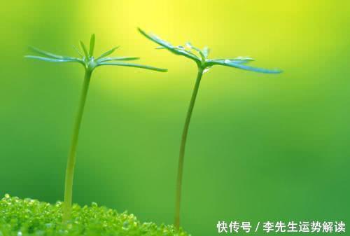 命理看哪些人难挡感情的诱惑