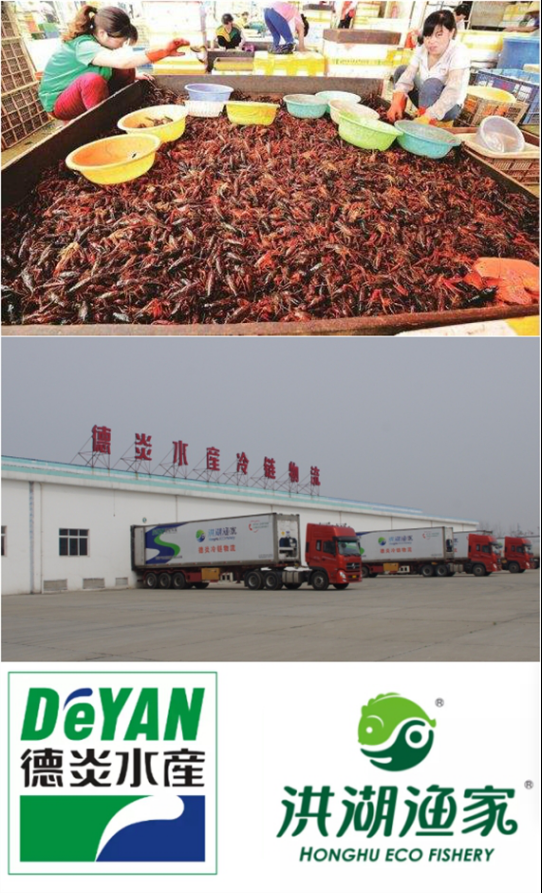 德炎水产:小龙虾千亿产值,居然拗不过淡季旺季两重天?
