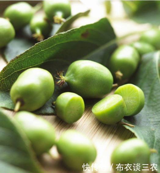 这种水果农村也不多见,市场上更是空白,一亩年