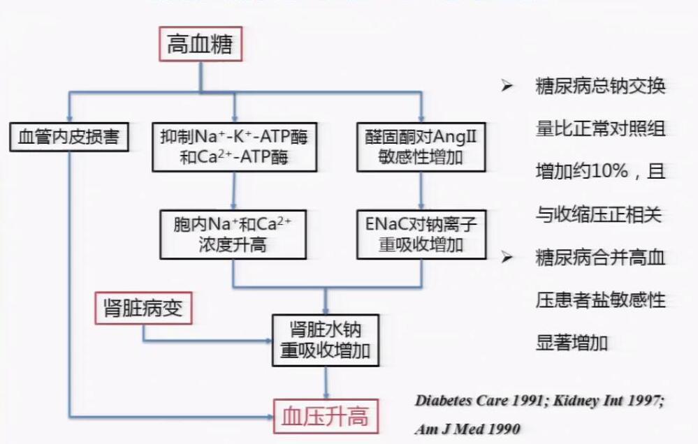 祝之明教授:减盐不减味的嗜辣法有效降压!【2018华东内分泌代谢病