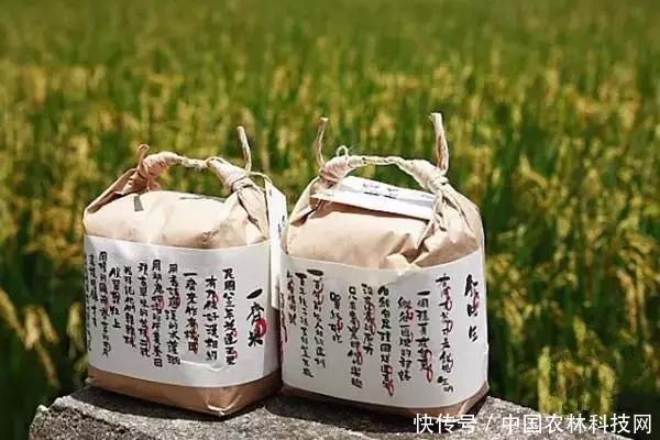 中国台湾文创农业为什么成功,关键在这6把金钥