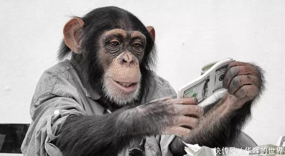 十二部与阿凡达一样水平的电影