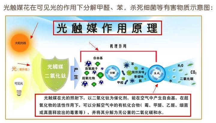 除甲醛,光触媒是不是最简单有效的?