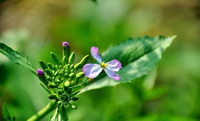 做人,不要太善良了,人善被人欺,很现实