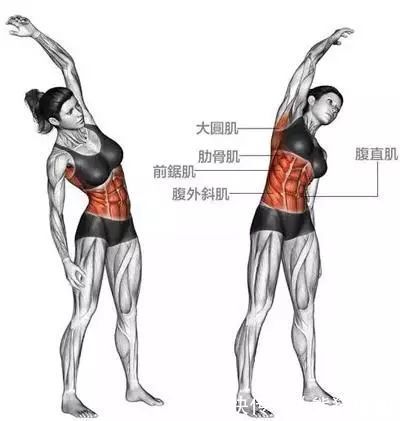 新手必学7个瑜伽拉伸动作,柔软你僵硬的身体!