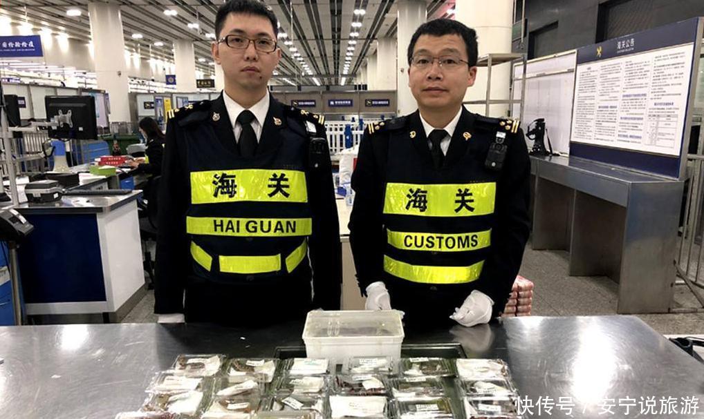 游客去香港买燕窝被抓罚五千,游客:懵逼了,没超