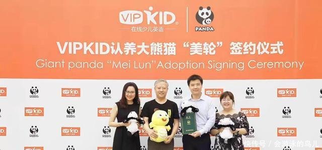 熊猫文化周今日启幕 四川熊猫C位出道