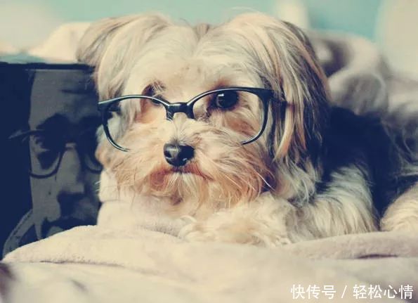 全世界最棒的十种思维