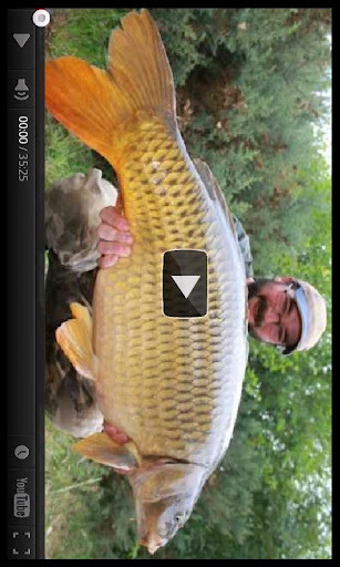 钓鲫鱼官网免费下载_钓鲫鱼攻略,360手机游戏