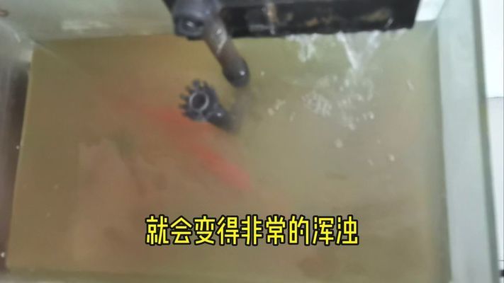 楊凌水族批發(fā)市場(chǎng)咸陽(yáng)哪里有水族館？就是賣熱帶魚的那一種