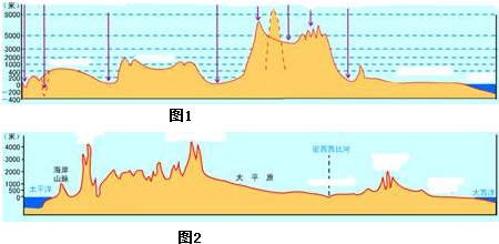 美洲人口变化有什么特点_有什么头像好看的图片(2)