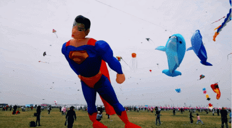 t01c7ced972b5ab6ad0.gif?size=453x250