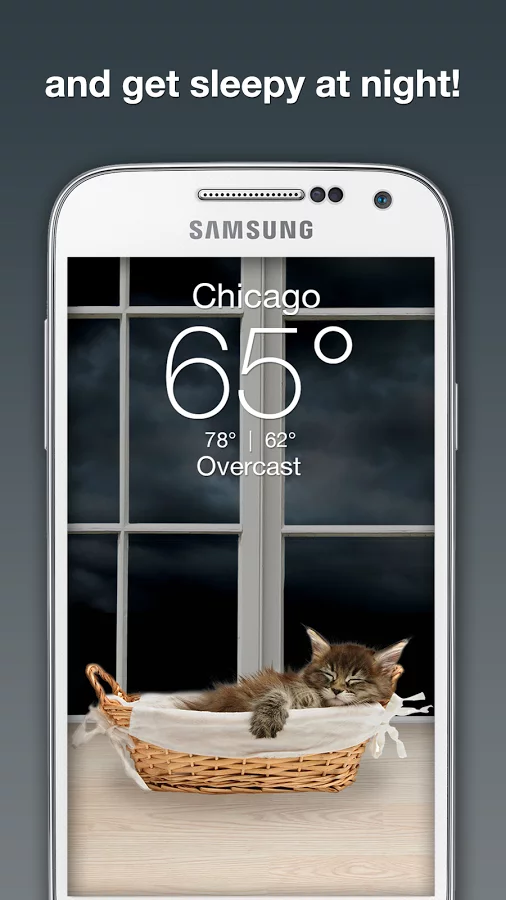 Weather Kitty截图5