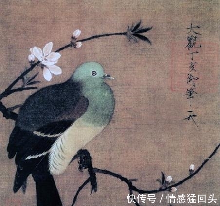 最高学历怎么填