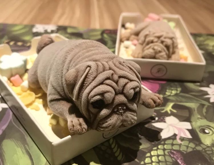 服务员上了一盘小狗,客人难以动筷,得知事实