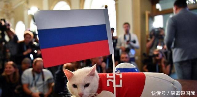 白猫阿喀琉斯预测世界杯揭幕战 看好东道主俄
