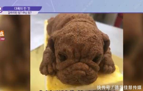 抖音上流行的网红狗蛋糕,韩国艺人知道用途后