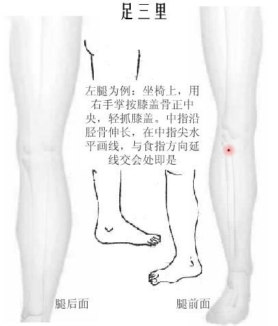 怎样找足三里穴位，足三里的准确位置图_360新知