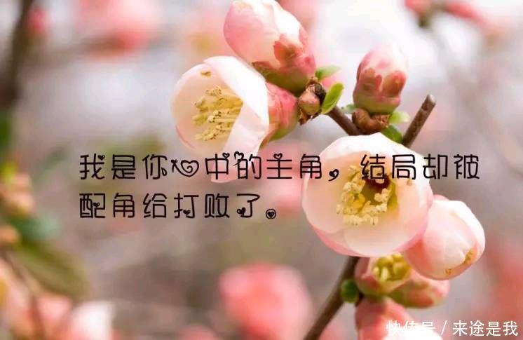 惊艳朋友圈的人生感悟,句句经典,耐人寻味 电子游艺平台