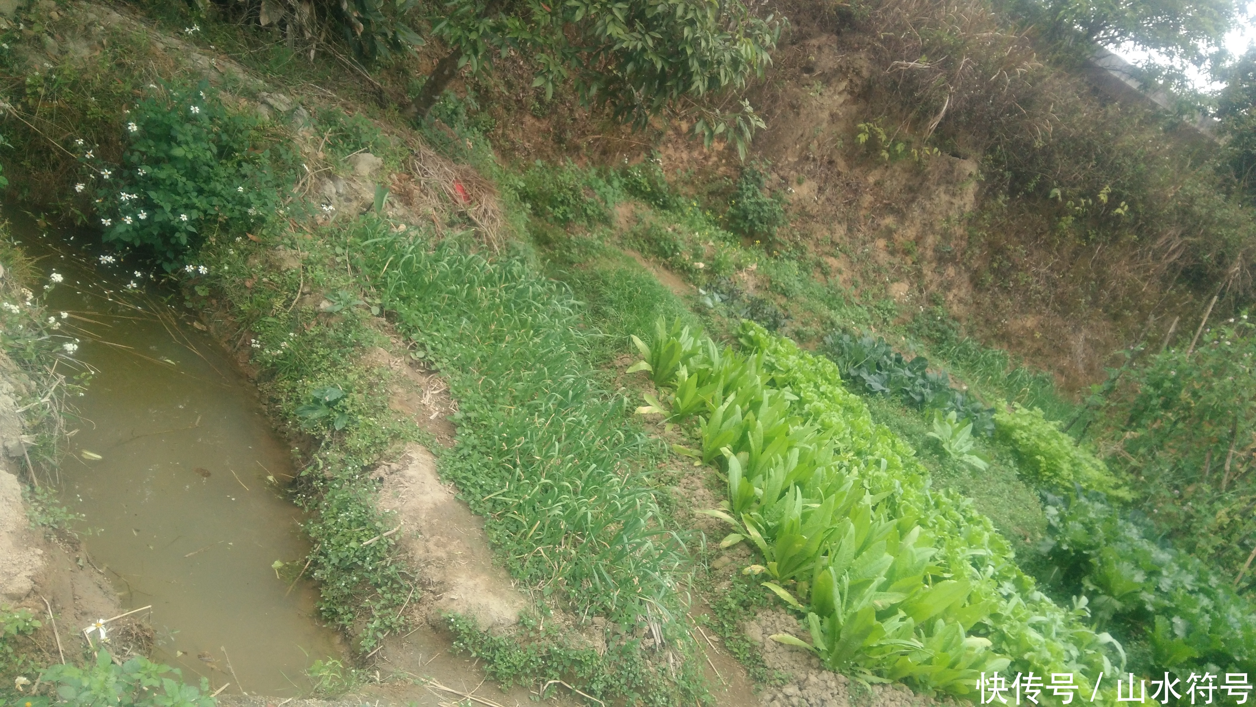 春节后的农田景象广西浦北县白石水