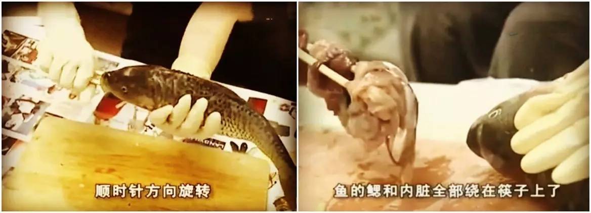 她把一根筷子插进鱼体内 神奇一幕发生了!