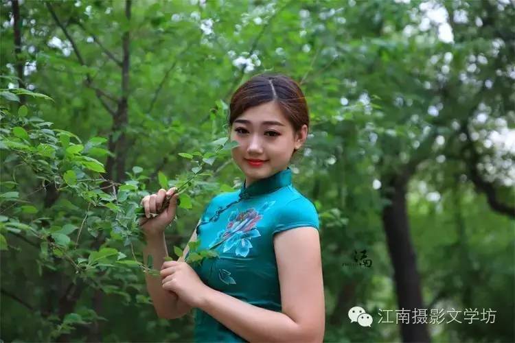 五月了,齐齐哈尔的丁香花丁香了大街小巷,假如,你走在城市的药材上,俩芬芳用小街图片