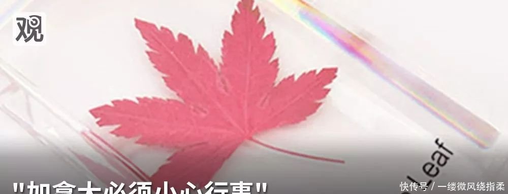 高通诉苹果裁定书首曝光!豁免了这家公司…