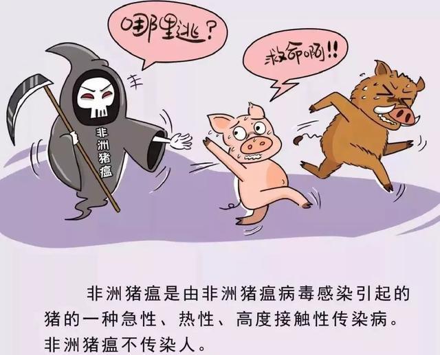 t01cfb49620fa471ce8.jpg?size=640x517