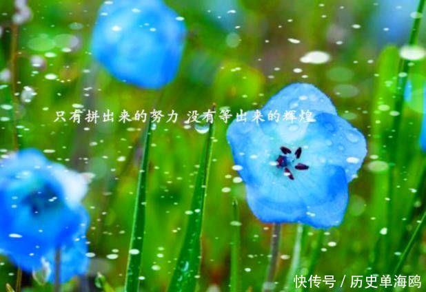 微博里超火的句子,字字精华,句句经典 澳门网络赌博平台