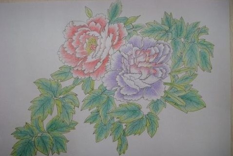 如何用铅笔画牡丹花