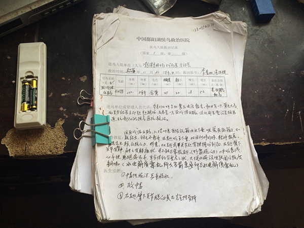 【转】北京时间 七旬候鸟医生:救治超5万只 为每只鸟写病历 - 妙康居士 - 妙康居士~晴樵雪读的博客 【转】北京时间 七旬候鸟医生:救治超5万只 为每只鸟写病历 - 妙康居士 - 妙康居士~晴樵雪读的博客