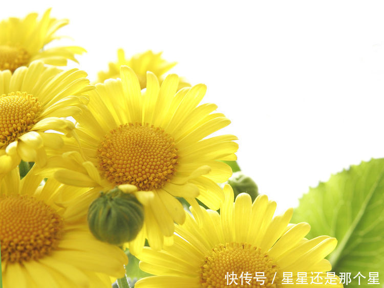 算命的说,财神关照,6月横财爆发,富得流油的三大生肖