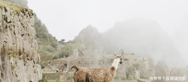 梦游南美秘鲁旅游攻略