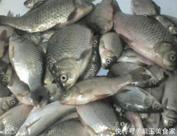 农村人爱吃的小野味,下河就能抓得到,虽然肉比较少,但味道鲜美 通博手机版