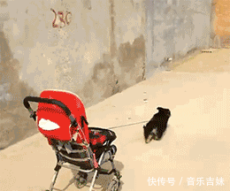 入职体检需要带什么