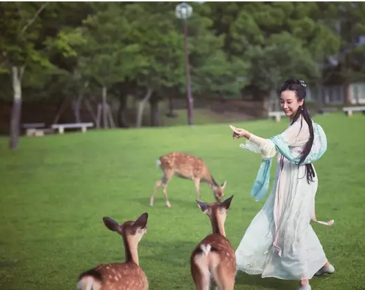 在日本一年四季穿汉服的中国女生,被日本人捧