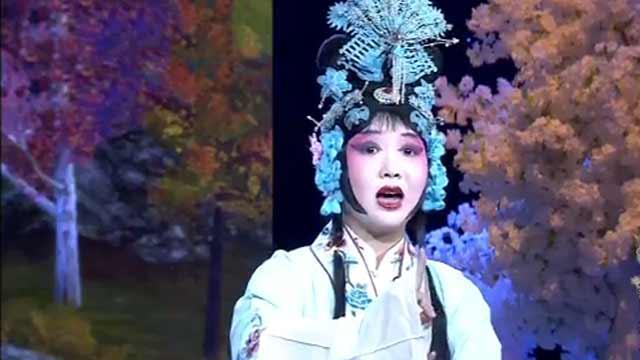 《欢天戏地》20170123老少票友齐欢唱