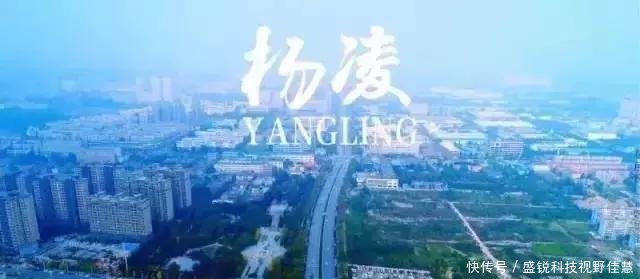 农业标准化生产