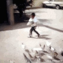 爆笑gif图: 这样减肥才有动力嘛,完全停不下来