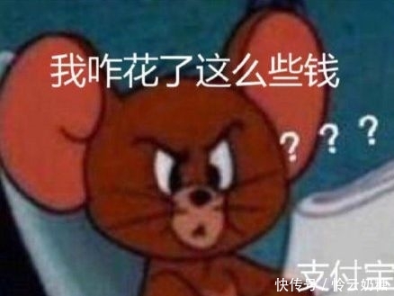 2019年支出账单图片