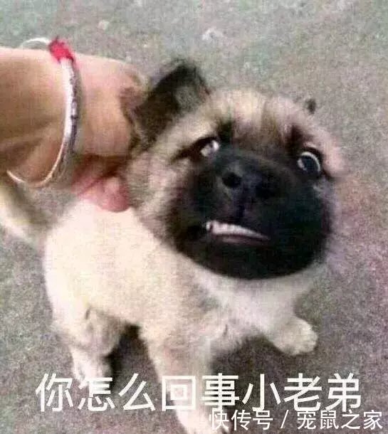 t01da4892eb03bae5c8.jpg