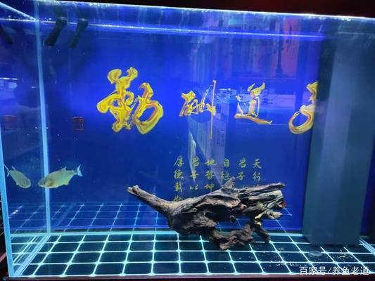 中山魚(yú)缸改造廠家地址 水族問(wèn)答 第2張