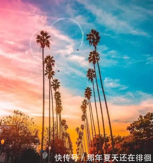 10句朋友圈每一个人情感句子,因为爱所以伤_【