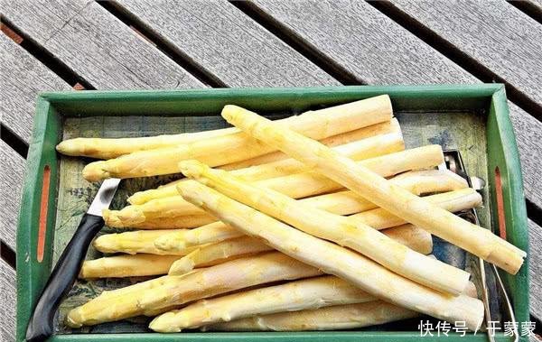 美食家蔡澜的死前必吃清单,看过之后我傻了,v清单的关于美食图片