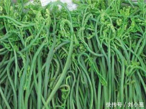 “小葱带你吃天下”——丰宁:寻味满族味道!