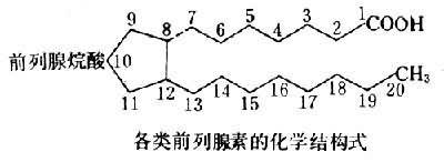 前列腺素