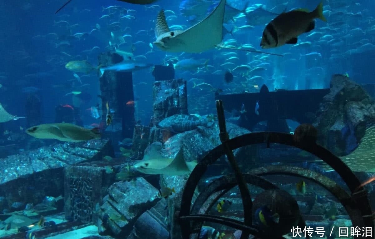 科学家分析古代神话,发现人类并非唯一智慧文