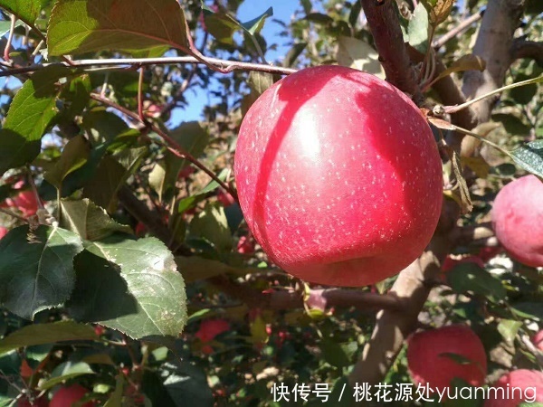 Ȼũ츻ʿƻũһ