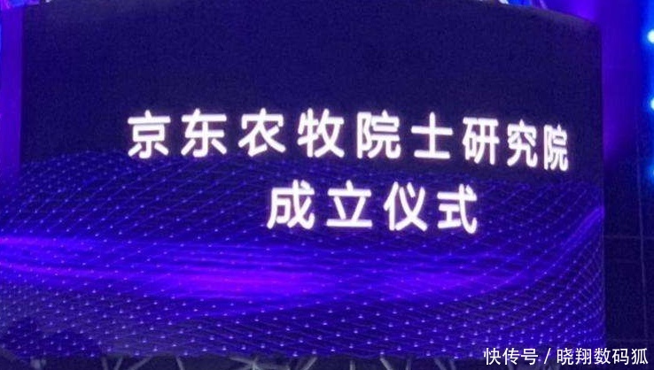 马云后刘强东也认真养猪,不是你理解的赚钱套